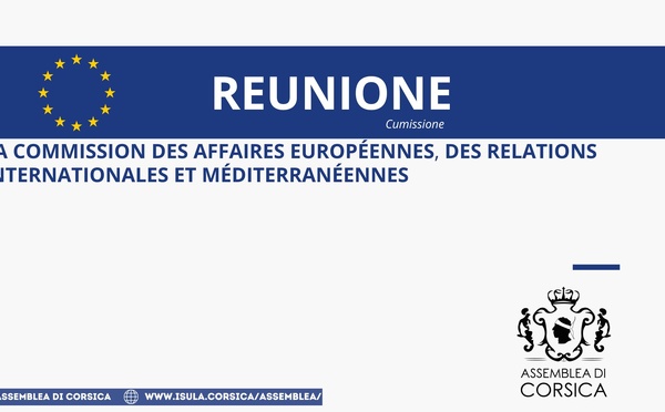 Réunion de la Commission des affaires européennes, des relations internationales et méditerranéennes 