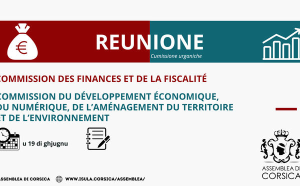 Réunion conjointe de la Commission du développement économique, du numérique, de l'aménagement du territoire et de l'environnement et de la Commission des finances et de la fiscalité 