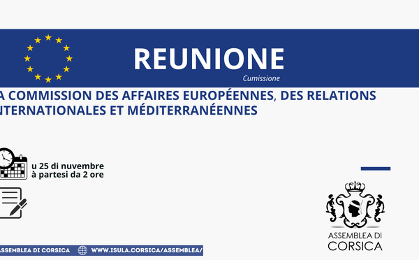 Réunion de la Commission des affaires européennes, des relations internationales et méditerranéennes 