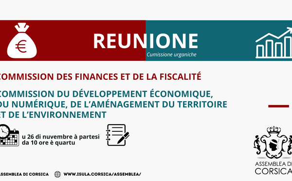 Réunion conjointe de la Commission du développement économique, du numérique, de l'aménagement du territoire et de l'environnement et de la Commission des finances et de la fiscalité 