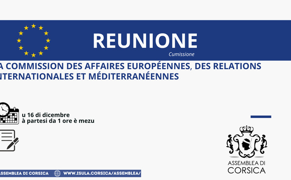 Réunion de la Commission des affaires européennes, des relations internationales et méditerranéennes 