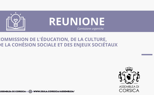 Commission de l’Education, de la Culture, de la Cohésion Sociale et des Enjeux Sociétaux 