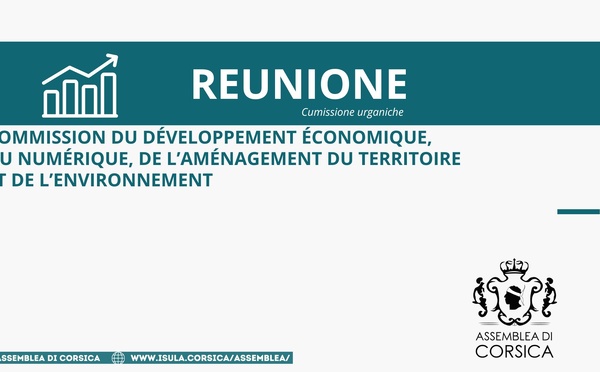 Commission du développement économique, du numérique, de l’aménagement du territoire et de l’environnement