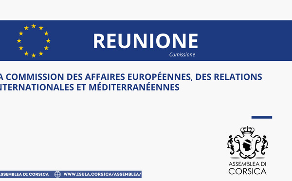 Commission des affaires européennes, des relations internationales et méditerranéennes 