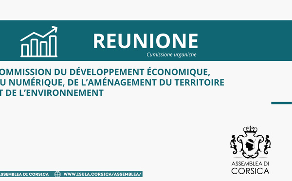 Commission du développement économique, du numérique, de l’aménagement du territoire et de l’environnement