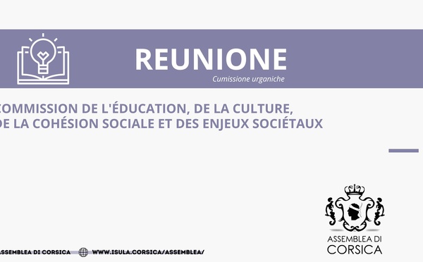 Commission de l’Education, de la Culture, de la Cohésion Sociale et des Enjeux Sociétaux 