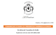 Cummunicatu di stampa di a Presidente di l'Assemblea di Corsica : 10e édition de l’Assemblea di i Zitelli, la jeunesse corse au coeur de la démocratie