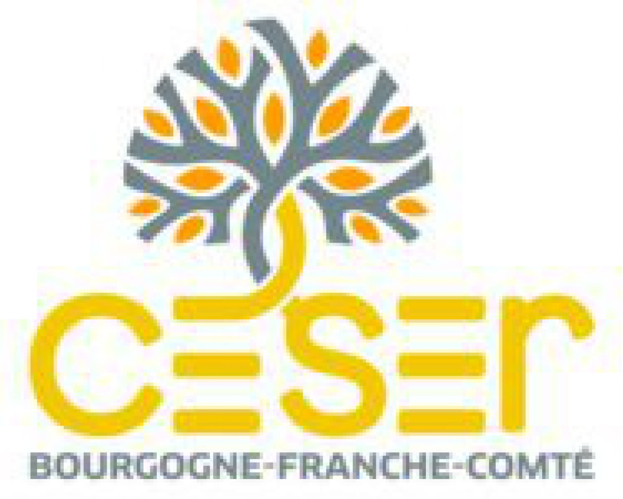 CESR Bourgogne - Franche Comté