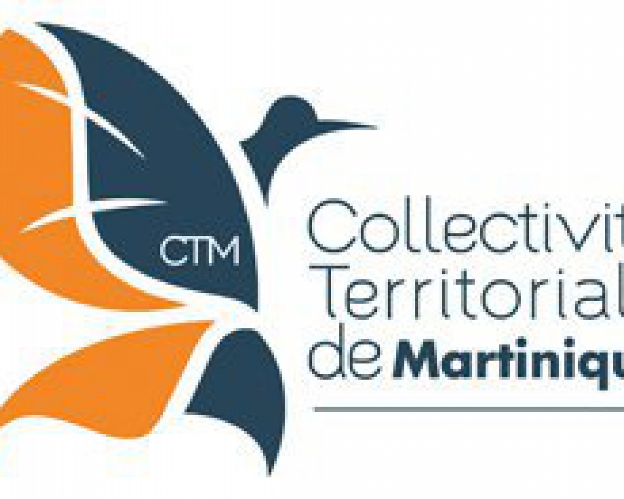 CESECEM Martinique