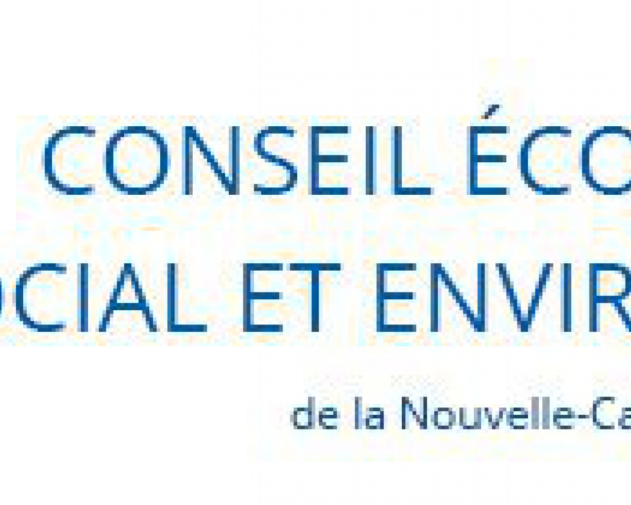 CESE Nouvelle-Calédonie