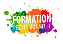 Mardi 13  et Jeudi 15 novembre - Groupe de travail "Formation professionnelle" Mardi 13  et Jeudi 15 novembre - Groupe de travail "Formation professionnelle"