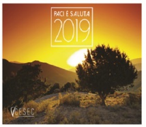 Voeux 2019 du Président du CESEC Paul Scaglia
