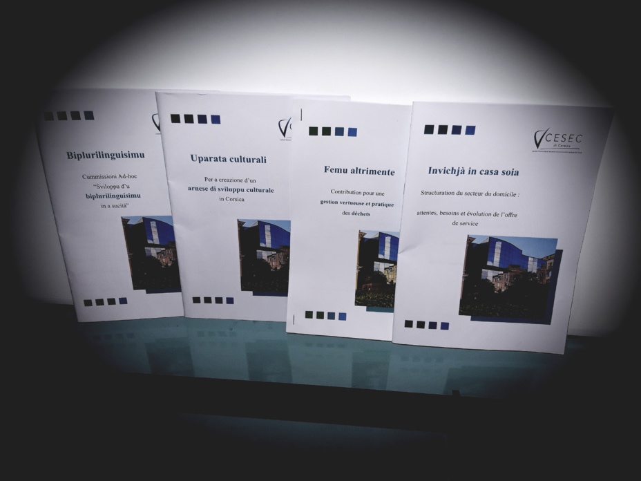 LES PUBLICATIONS DU CESEC