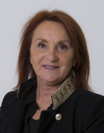 Commission "Développement économique, tourisme, affaires sociales, emploi et prospective" - mardi 21 juin 2022 - 13H30