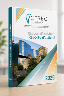 Regards sur l’activité du CESEC en 2025 Regards sur l’activité du CESEC en 2025