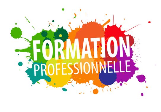 Mardi 13  et Jeudi 15 novembre - Groupe de travail "Formation professionnelle" Mardi 13  et Jeudi 15 novembre - Groupe de travail "Formation professionnelle"