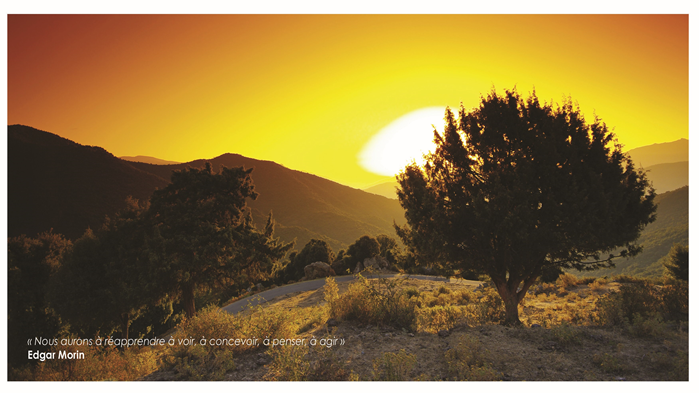 Voeux 2019 du Président du CESEC Paul Scaglia Voeux 2019 du Président du CESEC Paul Scaglia