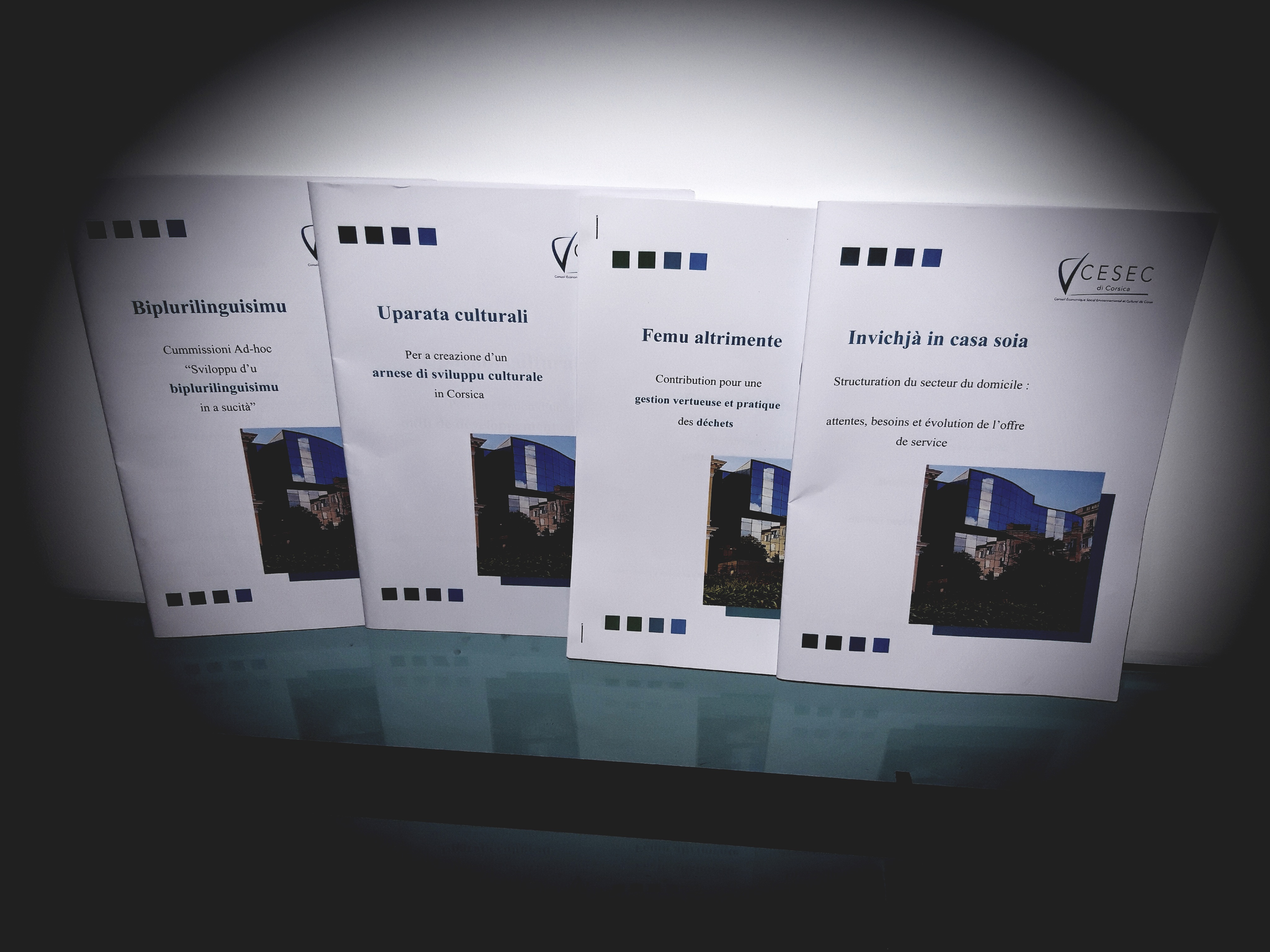 LES PUBLICATIONS DU CESEC