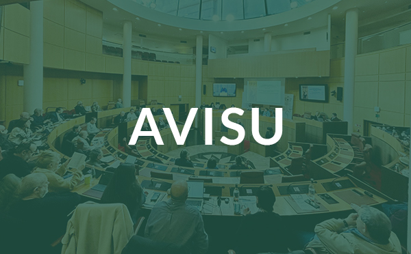 Avisu rilativu à u bugettu primitivu di a Cullettività di Corsica pè l'eserciziu 2025 (Avisu CESEC 2025-10)