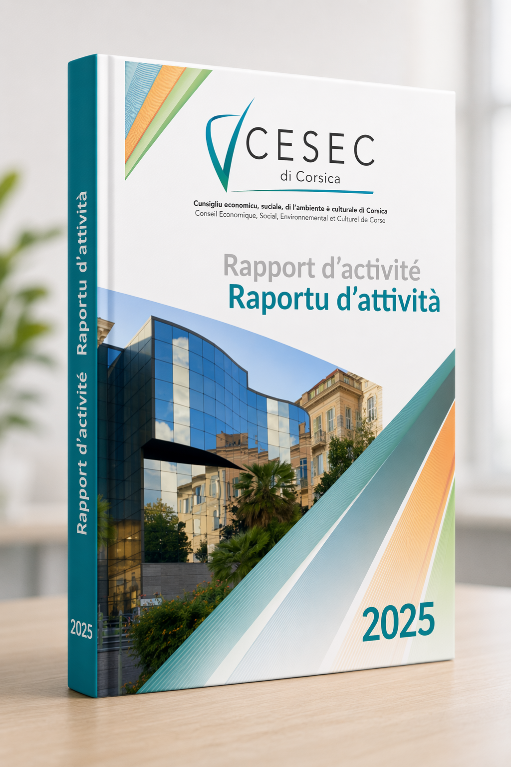 Regards sur l’activité du CESEC en 2025