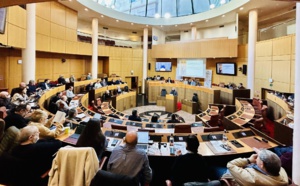 (RE)VOIR LA SEANCE PLENIERE DU MARDI 25 MARS 2025