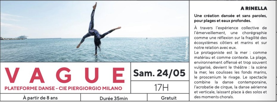 Festival Plateforme Danse : 