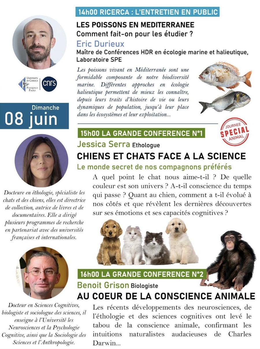 Les rencontres du Parc Galea / 