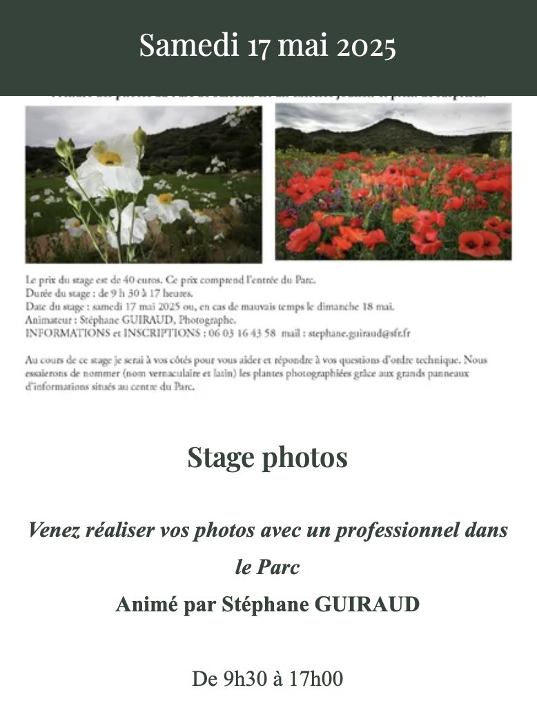 Stage photo animé par Stéphane Guiraud : Apprendre à regarder - Parc de Saleccia - L'Isula