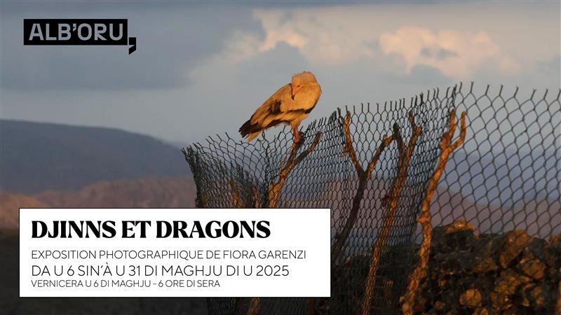 Exposition photographique de Fiora Garenzi « Djinns et Dragons » - Centre Culturel Alb'Oru - Bastia