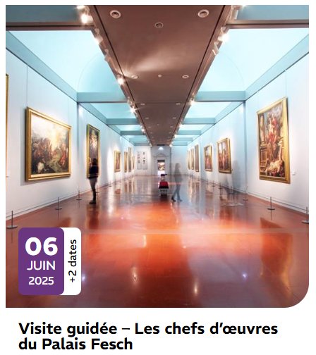 Visite guidée "Les chefs d’œuvres du Palais Fesch"