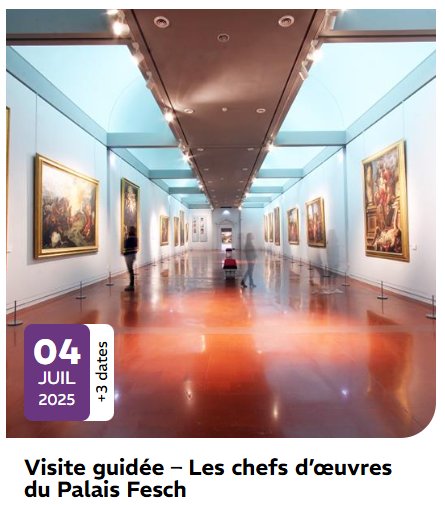 Visite guidée "Les chefs d’œuvres du Palais Fesch"