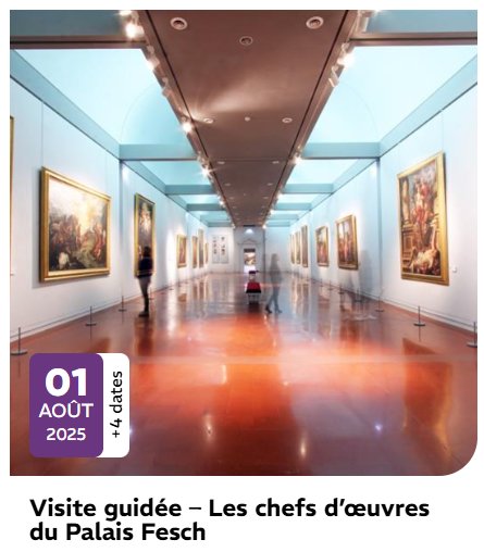 Visite guidée "Les chefs d’œuvres du Palais Fesch"
