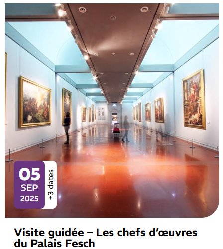Visite guidée des chefs-d'œuvre du Palais Fesch à Ajaccio