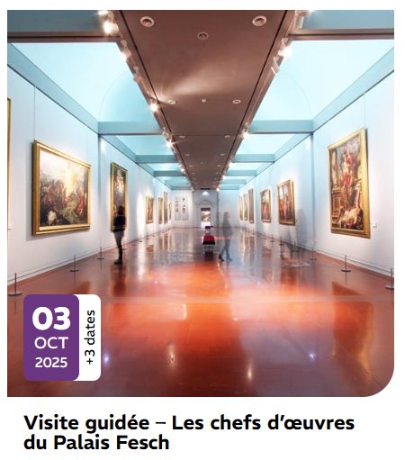 Arrière-plan pour Visite guidée des chefs-d'œuvre du Palais Fesch à Ajaccio