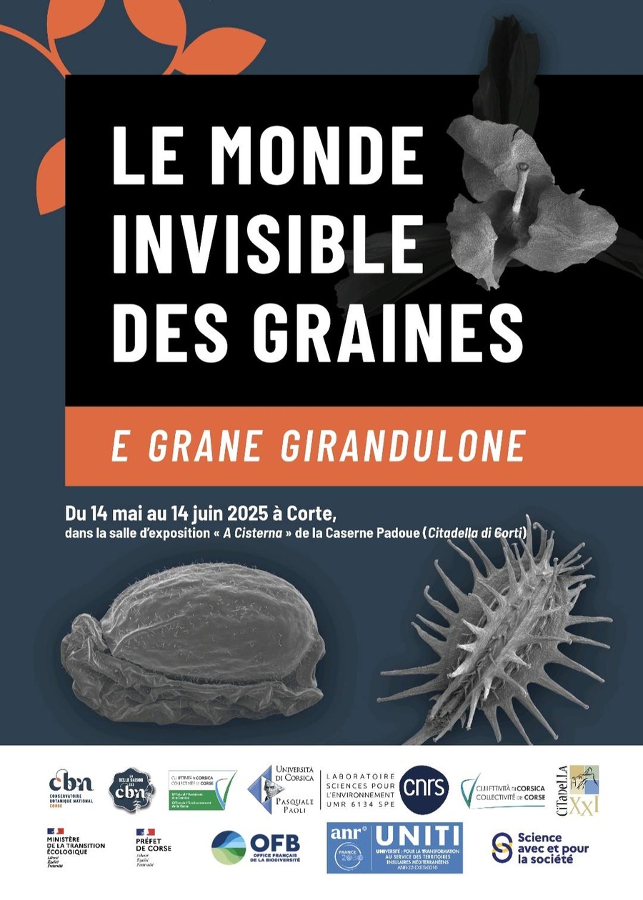 Exposition : "Le monde invisible des graines"  - Salle d'exposition "A Cisterna", Caserne Padoue