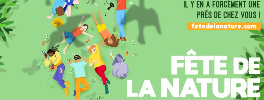 Fête de la Nature : Atelier artistique participatif - Pinède de Pinareddu - Santa Lucia di Portivechju