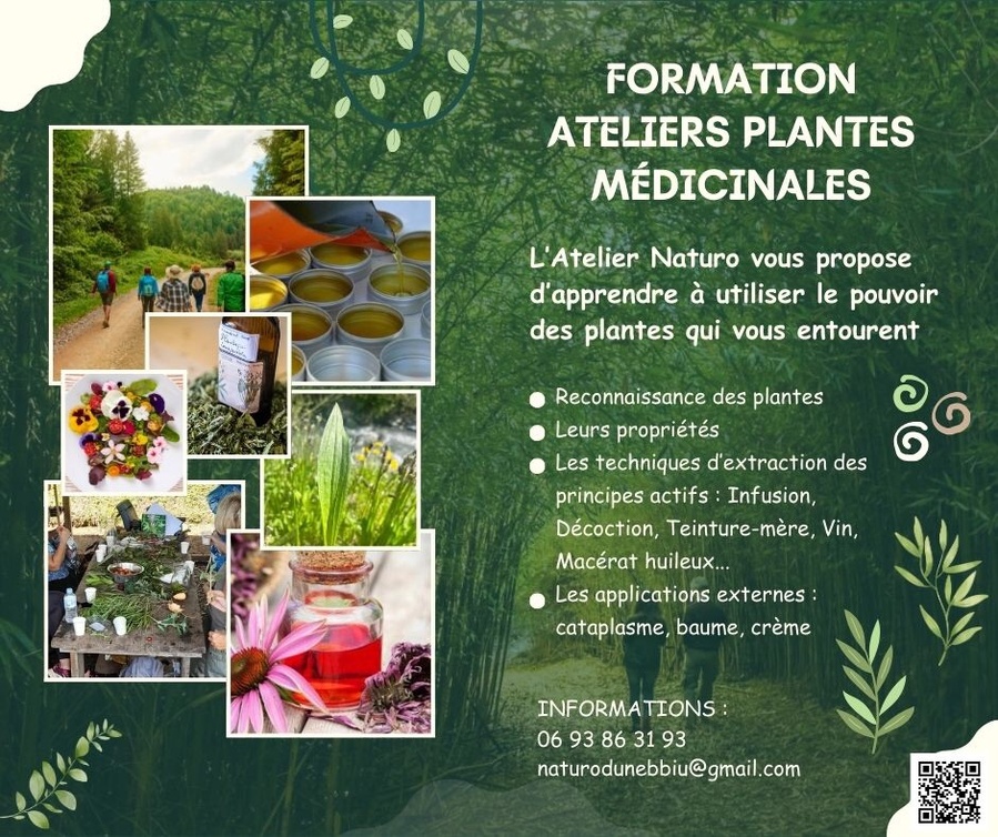 Journée de formation "Plantes médicinales" - Barbaggio