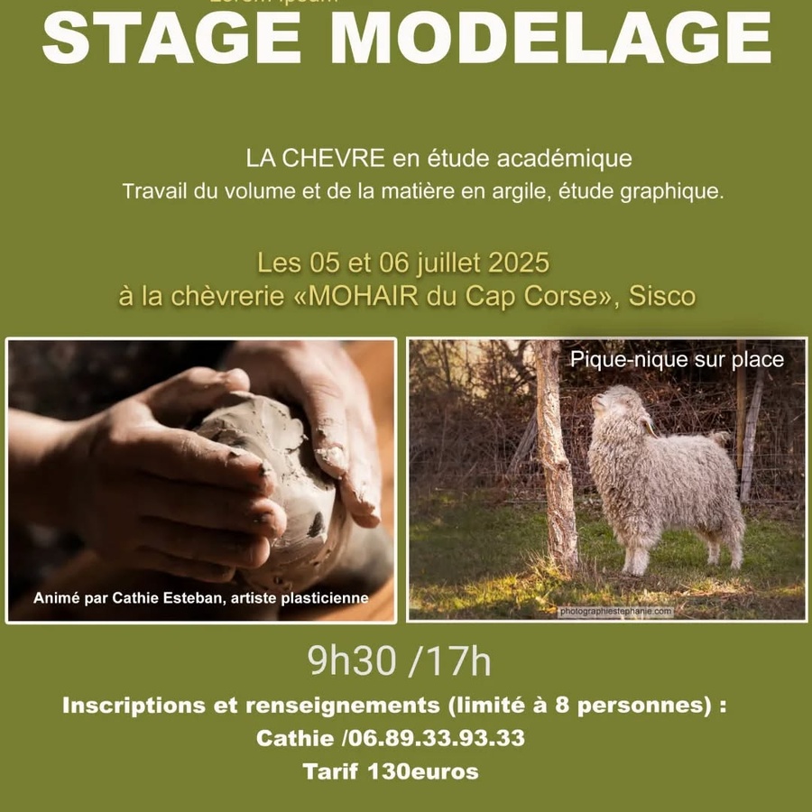Stage Modelage par Cathie Esteban - La Chèvrerie
