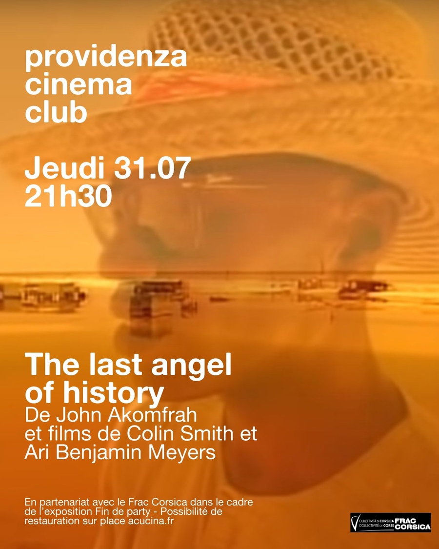Soirée Cinéma : Films de Cauleen Smith et Benjamin Meyers