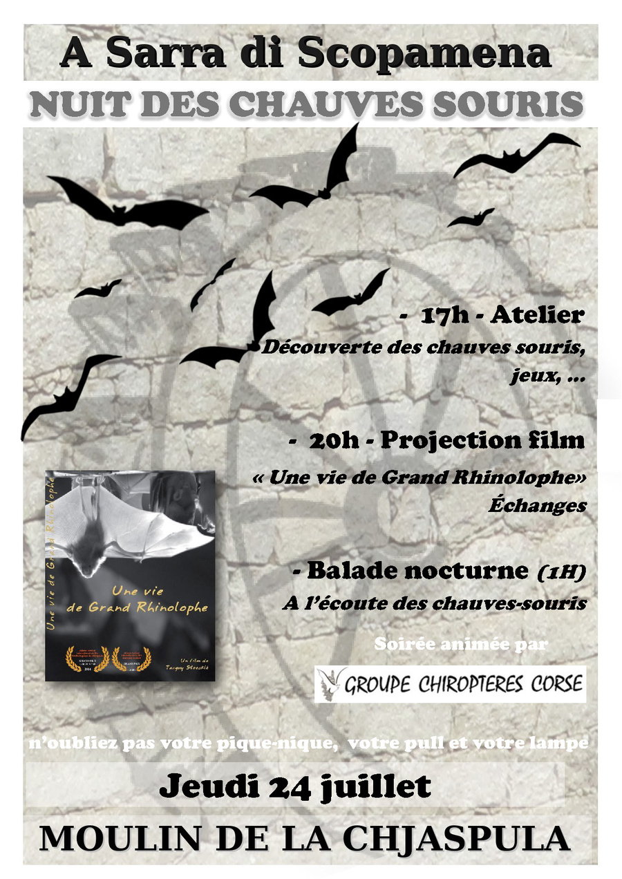 La nuit des chauves souris : Ateliers, projections de films, échanges... - Moulin