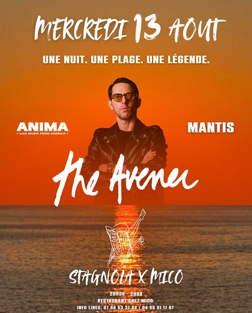 Concert The Avener - Plage La Stagnola - Pitrusedda