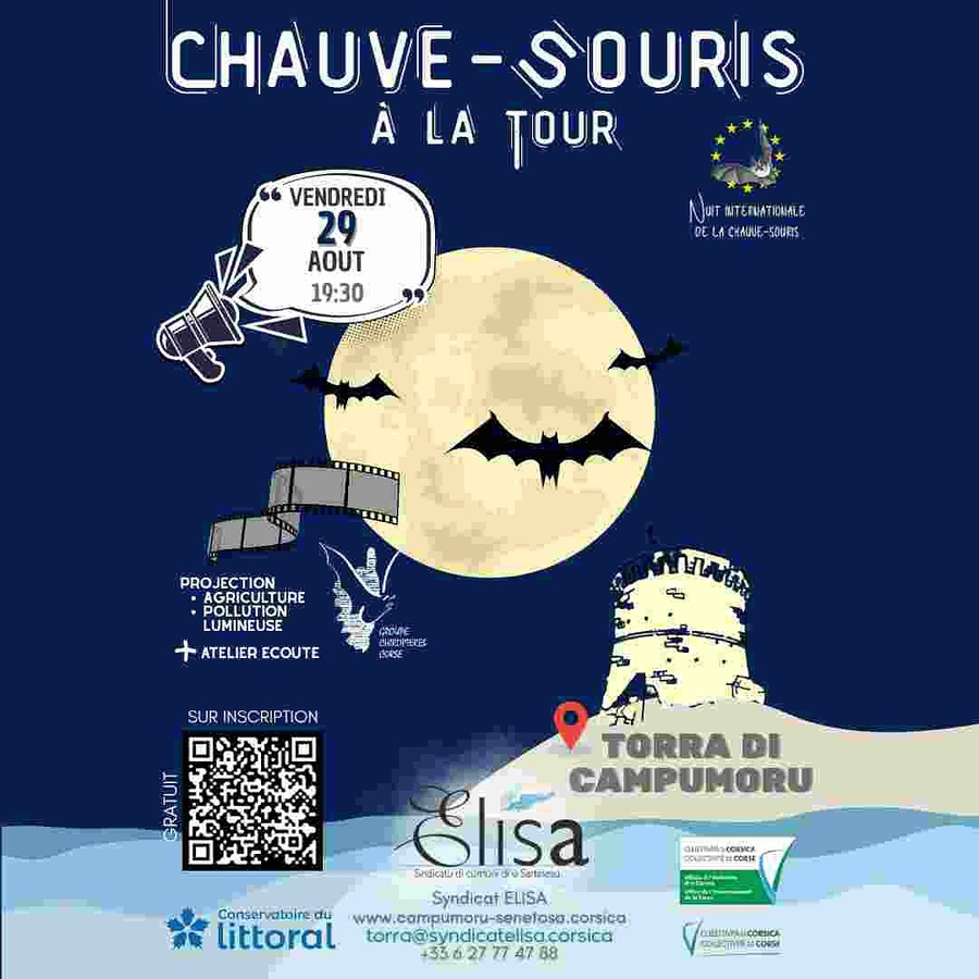 Arrière-plan pour "Chauve-souris à la tour" : Projection documentaire sur la place des chauves-souris dans l’agriculture et la pollution lumineuse, puis écoute et observation avec détecteurs - Tour de Campumporu