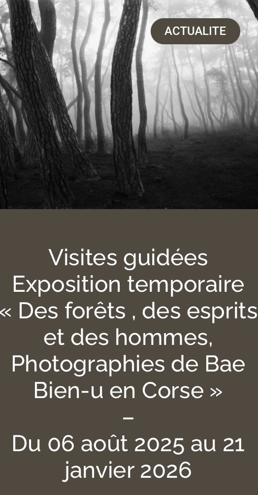 Arrière-plan pour Visite guidée de l'exposition : Des forêts, des esprits et des hommes à Ajaccio