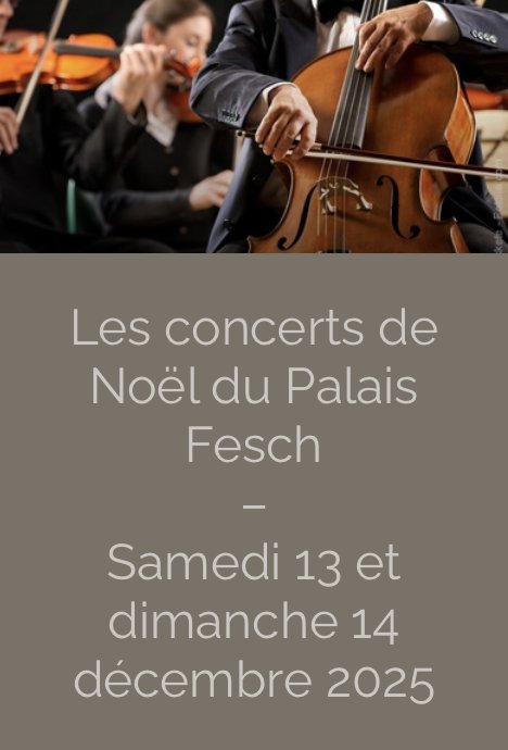 Arrière-plan pour Concert de Noël au Palais Fesch : Récital avec Marie Laure Garnier et Célia Oneto Bensaïd