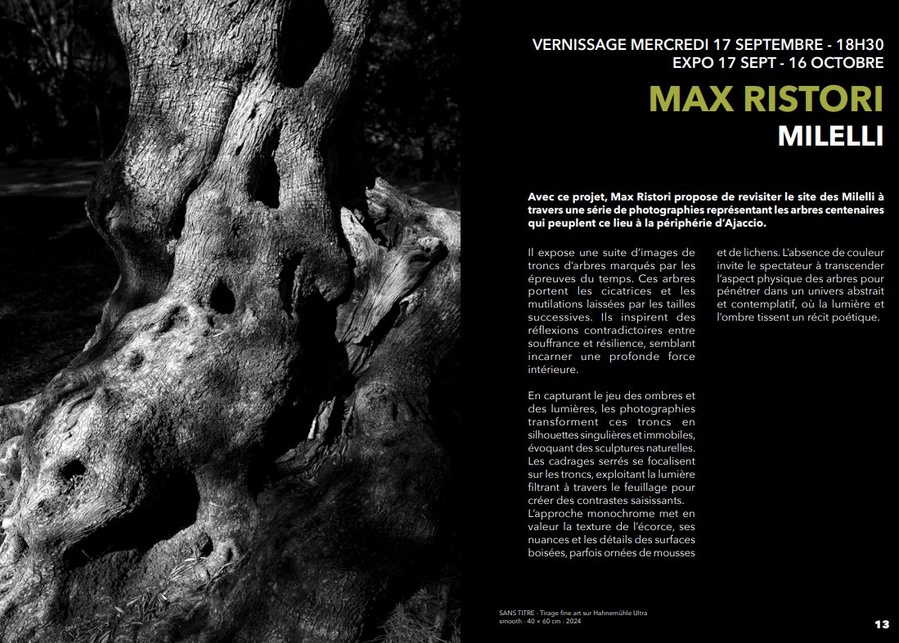 Exposition de Max Ristori : "Milelli" à l'Espace Diamant