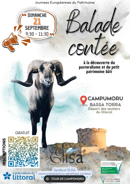 Arrière-plan pour Journées Européennes du Patrimoine / Balade contée à la découverte du pastoralisme et du petit patrimoine bâti - Tour de Campumporu