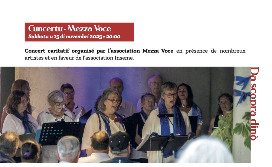 Arrière-plan pour Concert caritatif organisé par l’association Mezza Voce en présence de nombreux artistes et en faveur de l’association Inseme - Salle rouge