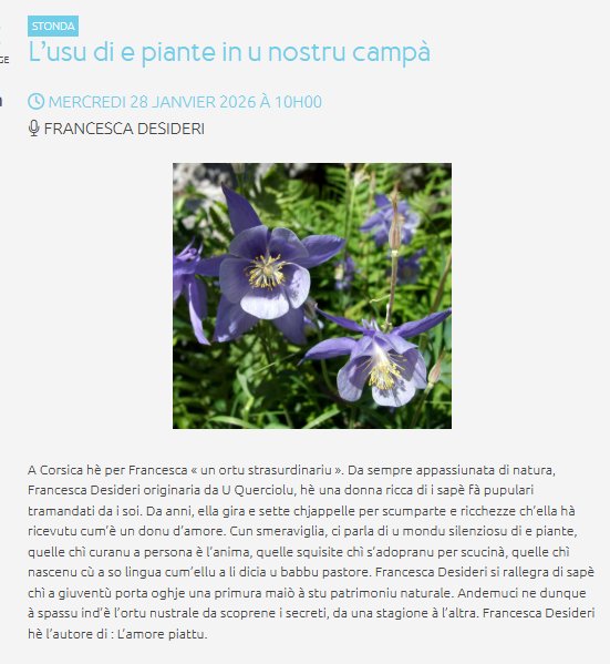 Rencontre avec Francesca Desideri : L'usage des plantes dans notre quotidien