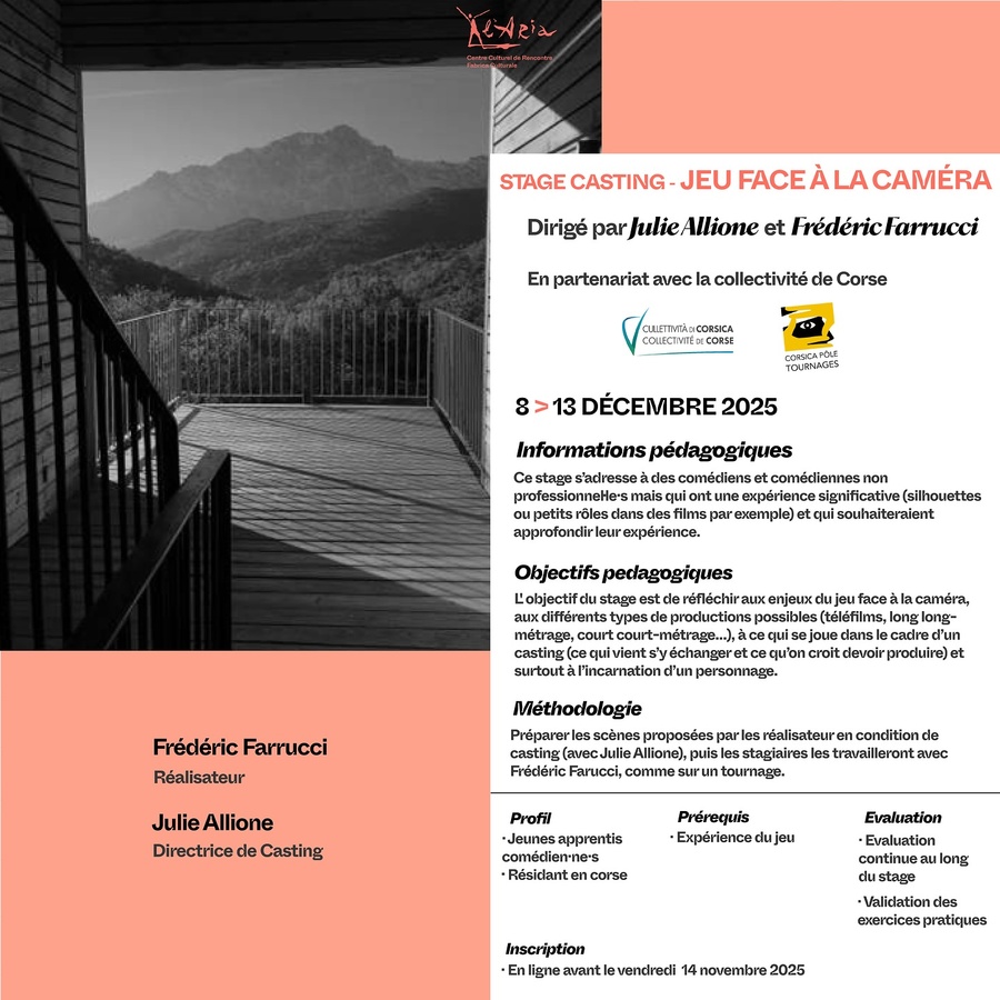Stage de casting : Jeu face à la caméra avec Julie Allione et Frédéric Farrucci