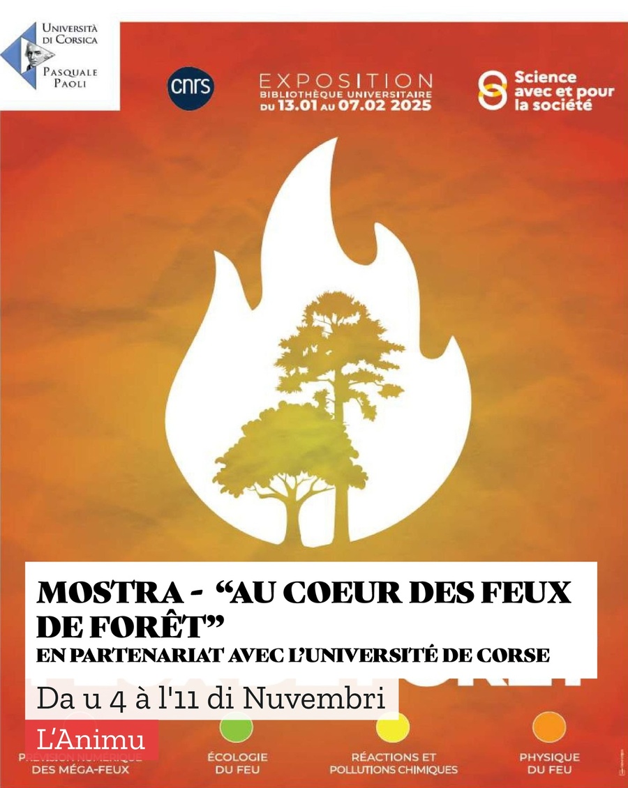Mostra : “Au cœur des feux de forêt”, une exposition de l’Università di Corsica, issue du projet FEUX, mêlant science et écologie - Médiathèque l'Animu - Portivechju